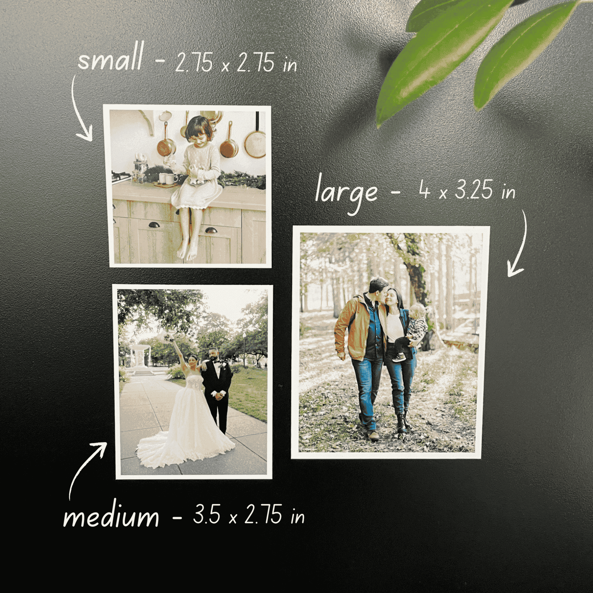 Custom Photo Magnets - Created Magnets